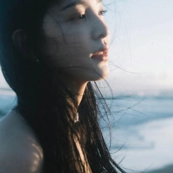 盗贼生涯